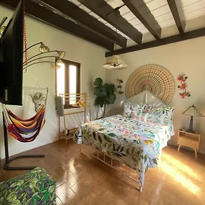 cozy-garden-apt-at-casa-of-essence-located-in-of-old-san-juan.top-hotels-puertorico.com/